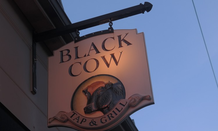 Black Cow